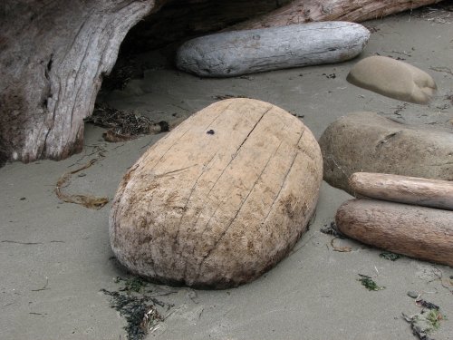Beach Loaf